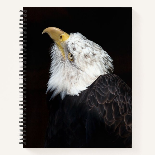 Cuaderno Retrato de águila calva (Anverso)