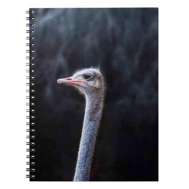 Cuaderno retrato de avestruz (Frente)