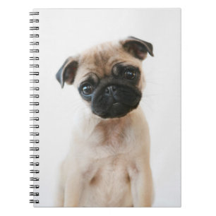 Cuaderno Retrato de Baby Pug