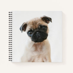 Cuaderno Retrato de Baby Pug