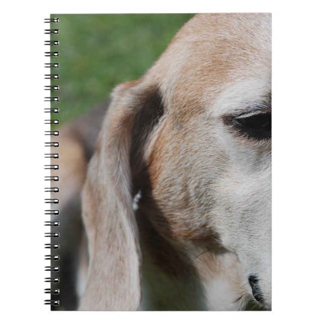 Cuaderno retrato de beagle (Frente)