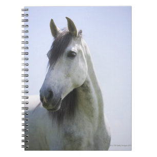 Cuaderno retrato de caballo blanco