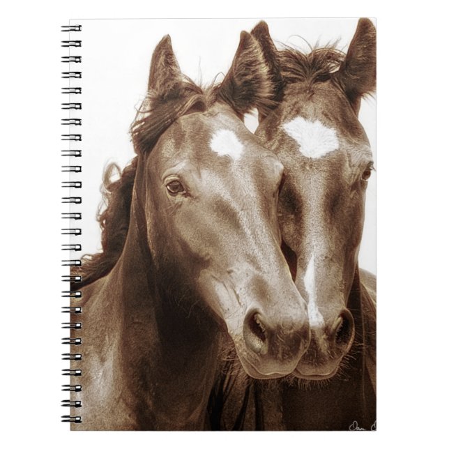 Cuaderno Retrato de caballo III (Frente)