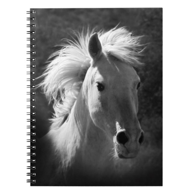 Cuaderno Retrato de caballo V (Frente)