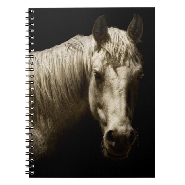 Cuaderno Retrato de caballo VI (Frente)