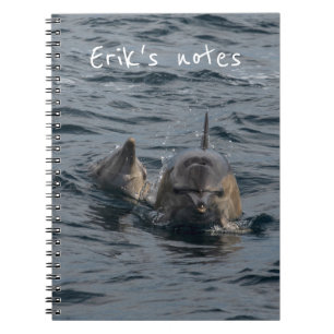 Cuaderno Retrato de cerca de delfines, Tasmania, Australia