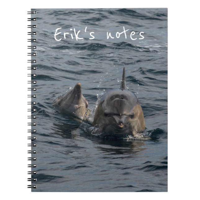 Cuaderno Retrato de cerca de delfines, Tasmania, Australia (Frente)