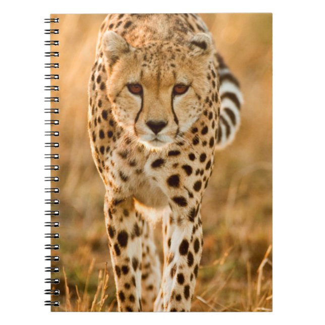 Cuaderno Retrato de chita (Acinonyx Jubatus), Masai (Frente)