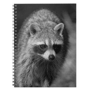 Cuaderno Retrato de cierre de mapache - Fotografía de vida 