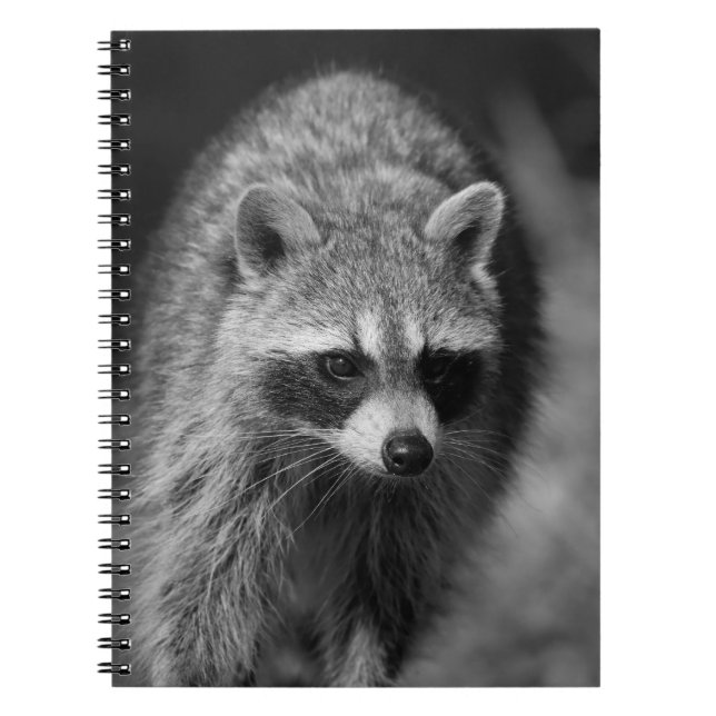 Cuaderno Retrato de cierre de mapache - Fotografía de vida  (Frente)