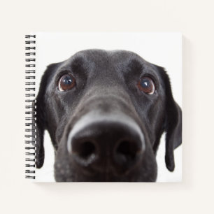 Cuaderno Retrato de cierre del labrador negro