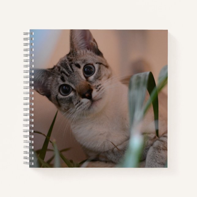 Cuaderno Retrato de foto de gato lindo (Anverso)