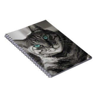 Cuaderno Retrato de gato atigrado de mirada silenciosa con 