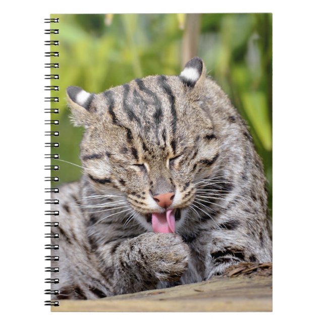 Cuaderno Retrato de gato de pesca (Frente)