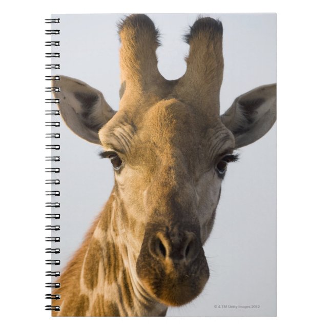 Cuaderno Retrato de Giraffa camelopardalis (Frente)