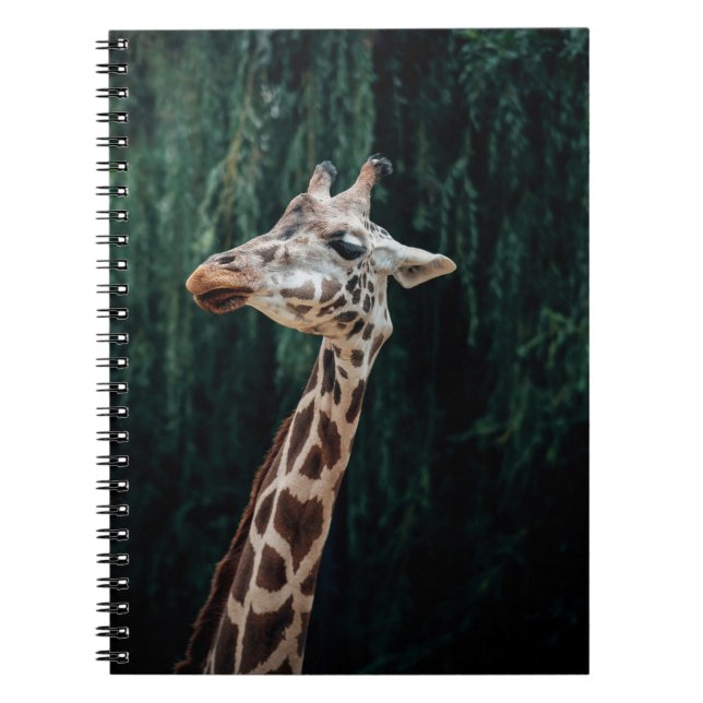 CUADERNO RETRATO DE GIRAFFE CUTE (Frente)