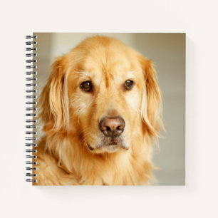 Cuaderno Retrato de Golden Retriever