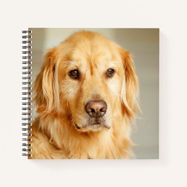 Cuaderno Retrato de Golden Retriever (Anverso)