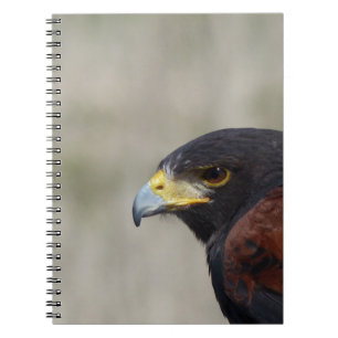 Cuaderno retrato de halcón de Harris