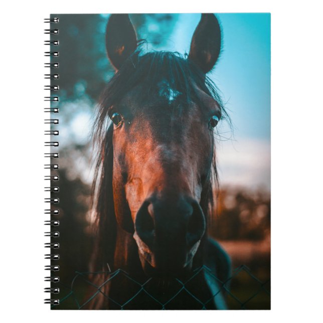 CUADERNO RETRATO DE HORSE (Frente)