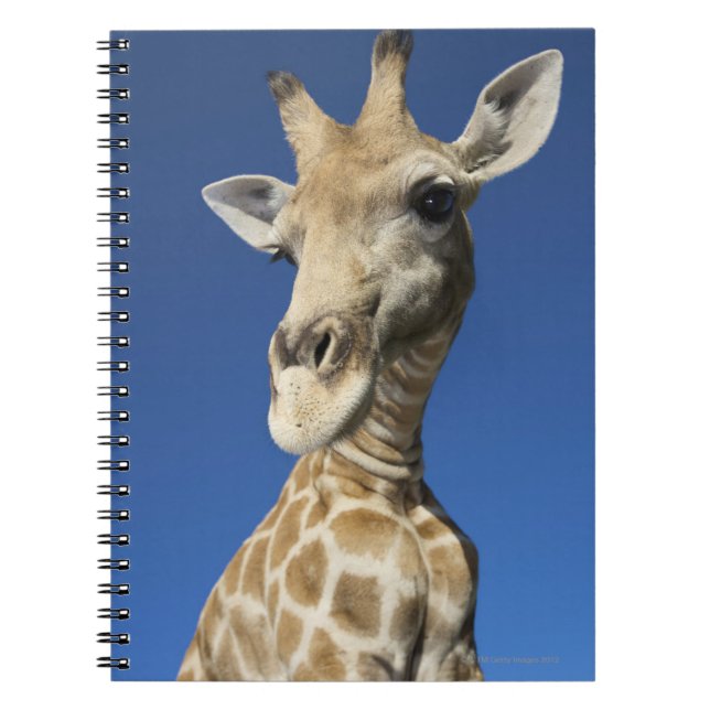 Cuaderno Retrato de la jirafa (Giraffa Camelopardalis) (Frente)