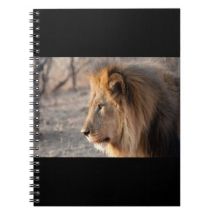 Cuaderno Retrato de león