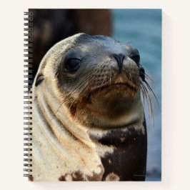 Cuaderno Retrato de león marino
