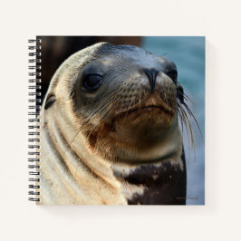Cuaderno Retrato de león marino