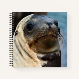Cuaderno Retrato de león marino