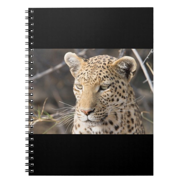 Cuaderno Retrato de leopardo (Frente)