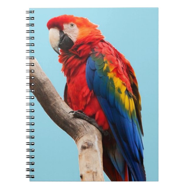 Cuaderno Retrato de loro colorido (Frente)