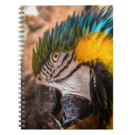 Cuaderno Retrato de macao azul y amarillo
