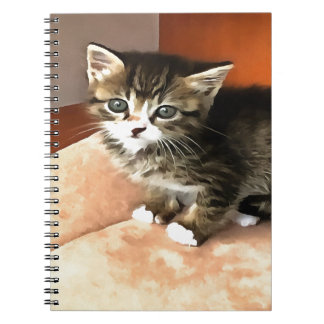 Cuaderno Retrato de Mascota de gatitos de Tabby