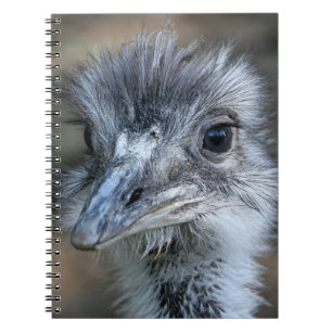 Cuaderno Retrato de Rhea del americano