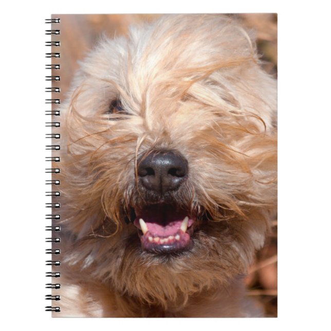 Cuaderno Retrato de Terrier en llantas blandas (Frente)