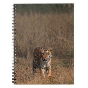 CUADERNO RETRATO DE TIGRE