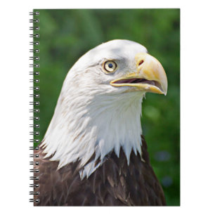 Cuaderno Retrato de un águila calva