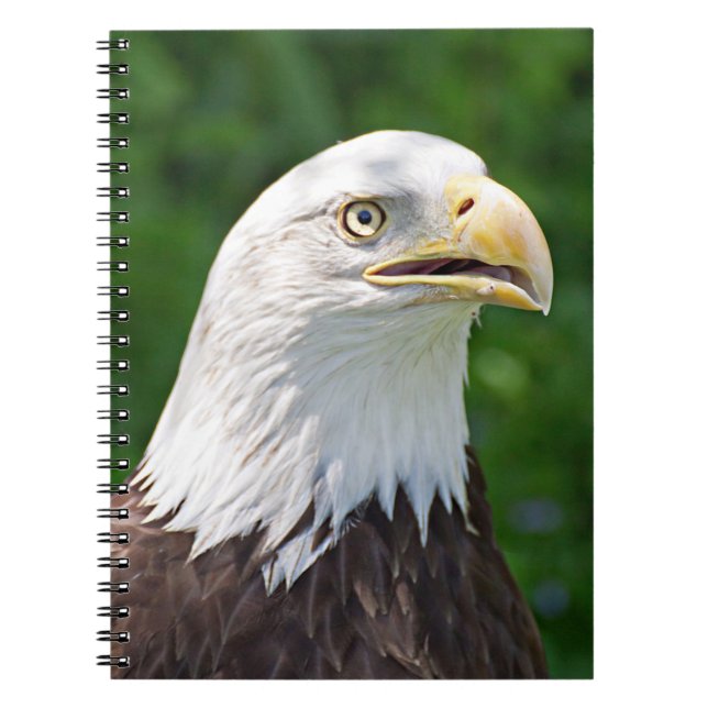 Cuaderno Retrato de un águila calva (Frente)