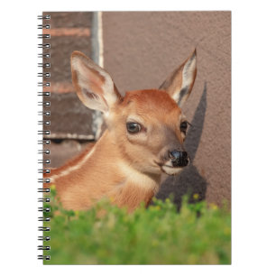 Cuaderno Retrato de un alba (ciervo de cola blanca)