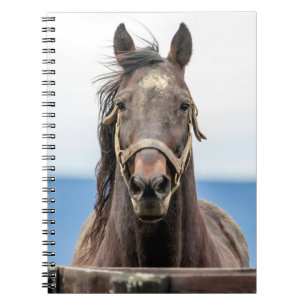 Cuaderno Retrato de un caballo