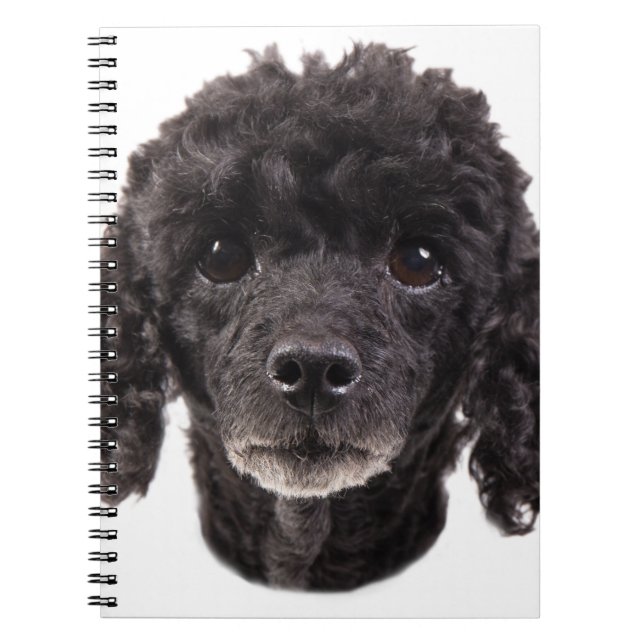 Cuaderno Retrato de un caniche negro (Frente)