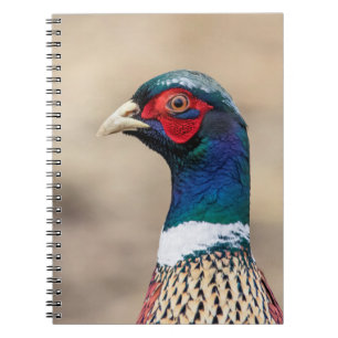Cuaderno Retrato de un faisán