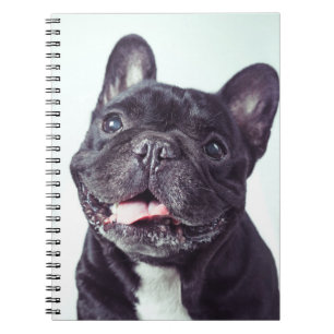 Cuaderno Retrato de un feliz Bulldog francés