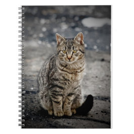 Cuaderno Retrato de un gato