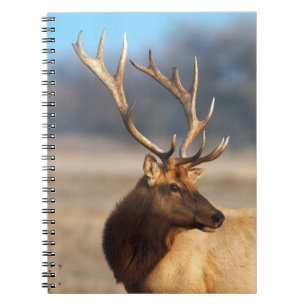 Cuaderno Retrato de un impresionante alce toro