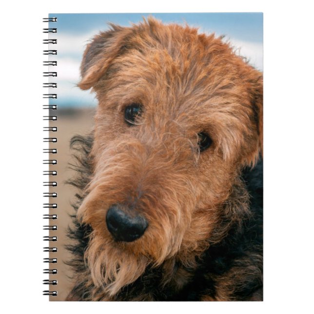 Cuaderno Retrato de un Terrier Airedale (Frente)