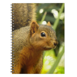 Cuaderno Retrato de una ardilla Fotografía de animales de l