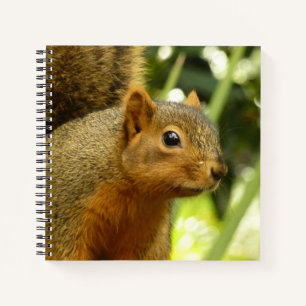 Cuaderno Retrato de una ardilla Fotografía de animales de l