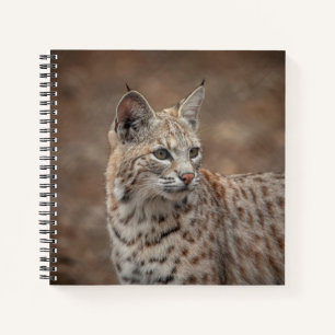 Cuaderno Retrato de una Bobcat