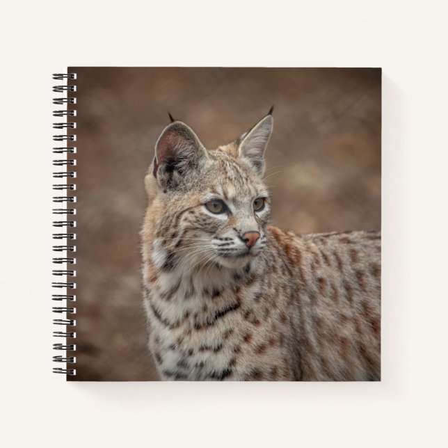 Cuaderno Retrato de una Bobcat (Anverso)